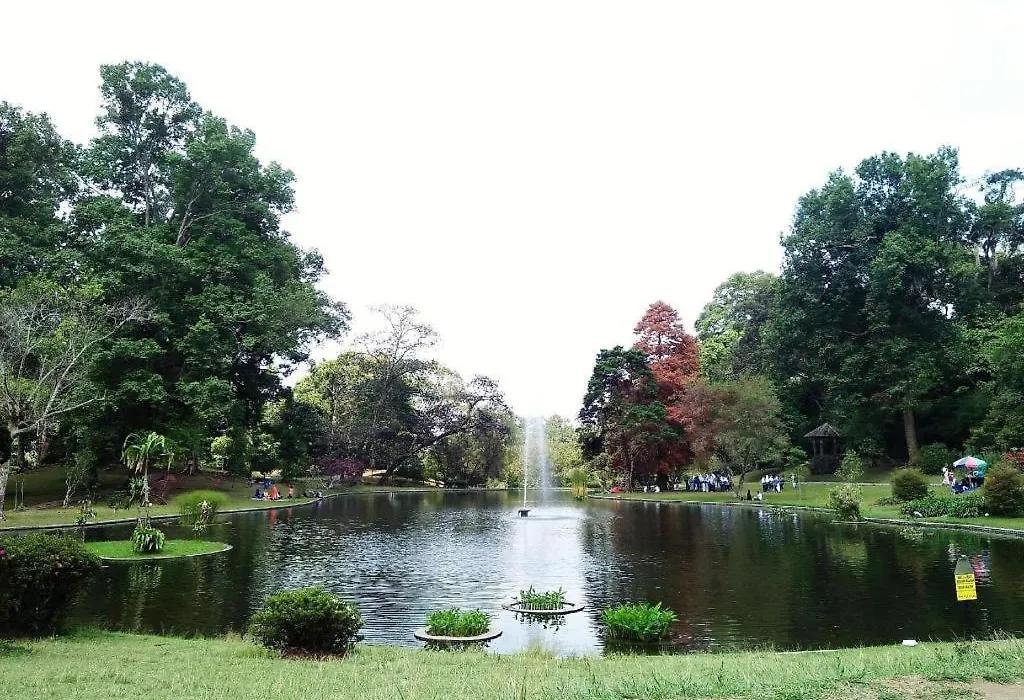 Bumi Ciherang Hotel-1